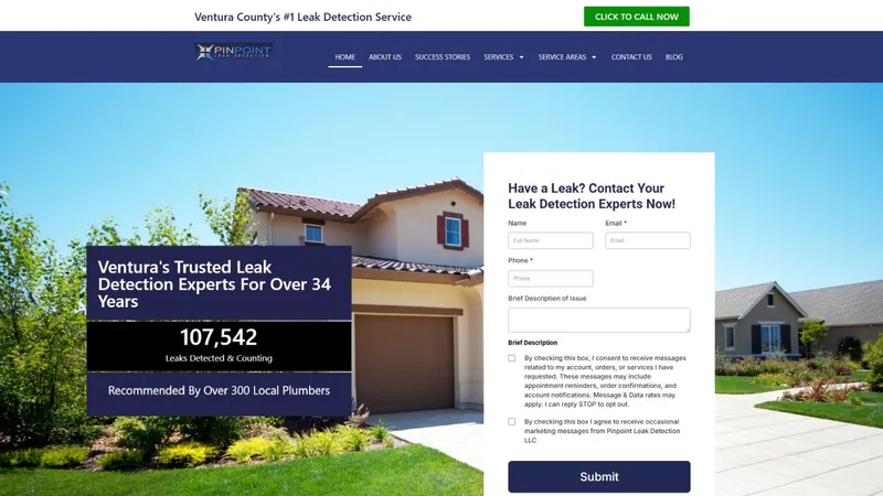 Pinpoint Leak Detection website